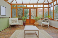 free Ivy Todd conservatory quotes